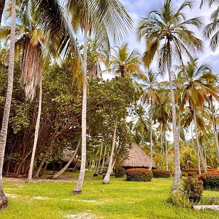 Playa Bonita Ecohotel Pet-Friendly Buritaca Bagian luar foto