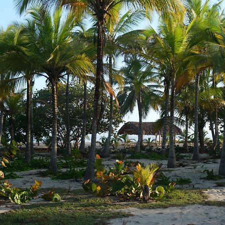 Playa Bonita Ecohotel Pet-Friendly Buritaca Bagian luar foto