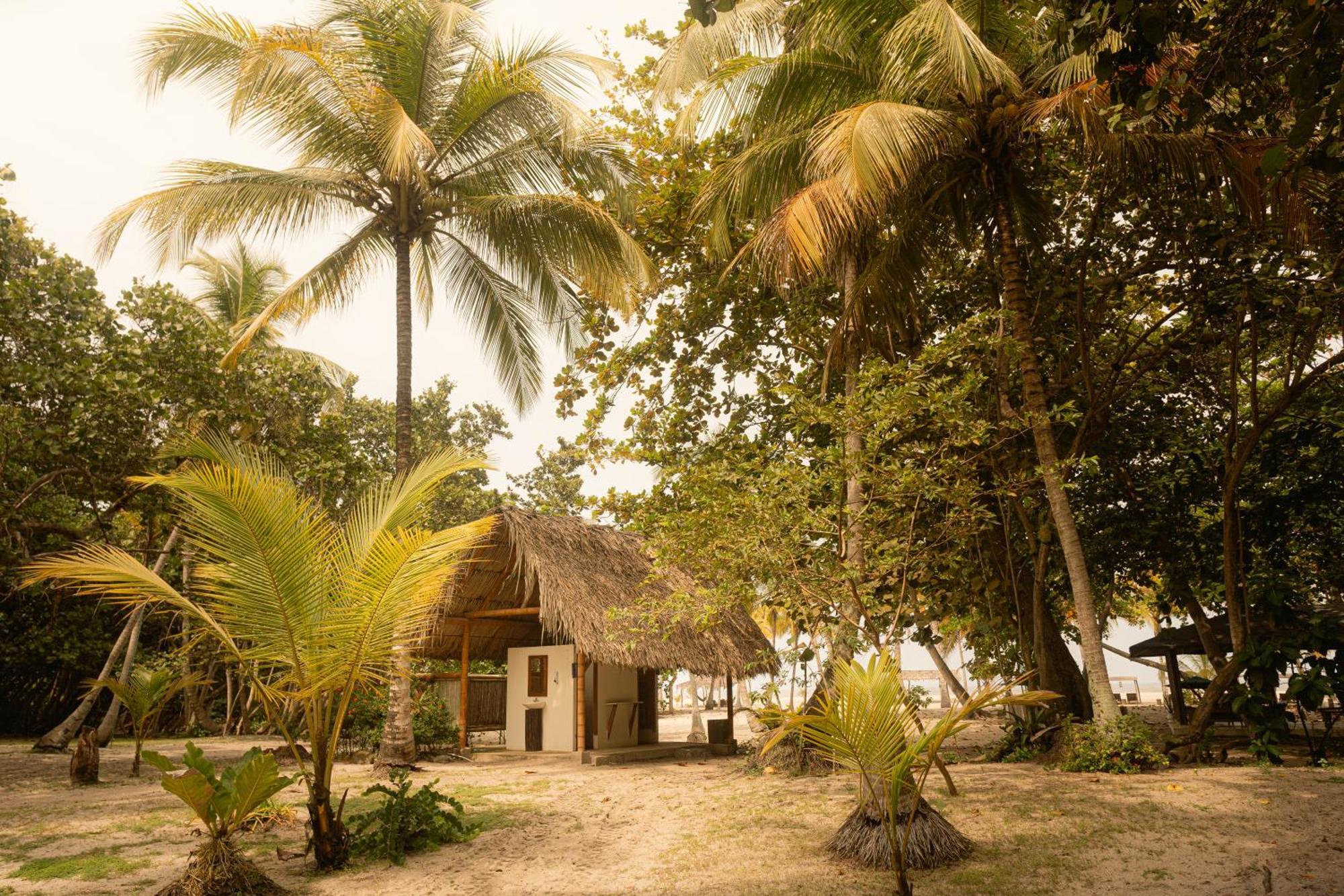 Playa Bonita Ecohotel Pet-Friendly Buritaca Bagian luar foto