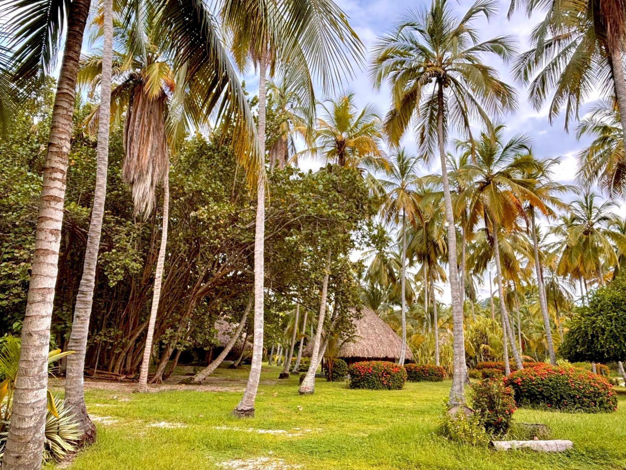 Playa Bonita Ecohotel Pet-Friendly Buritaca Bagian luar foto