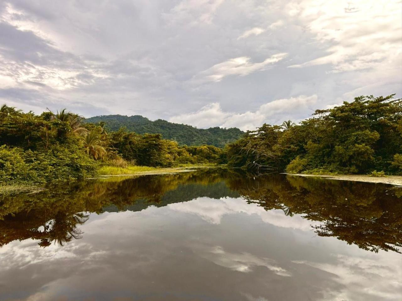 Playa Bonita Ecohotel Pet-Friendly Buritaca Bagian luar foto