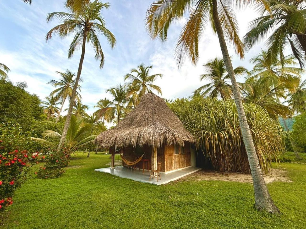 Playa Bonita Ecohotel Pet-Friendly Buritaca Bagian luar foto