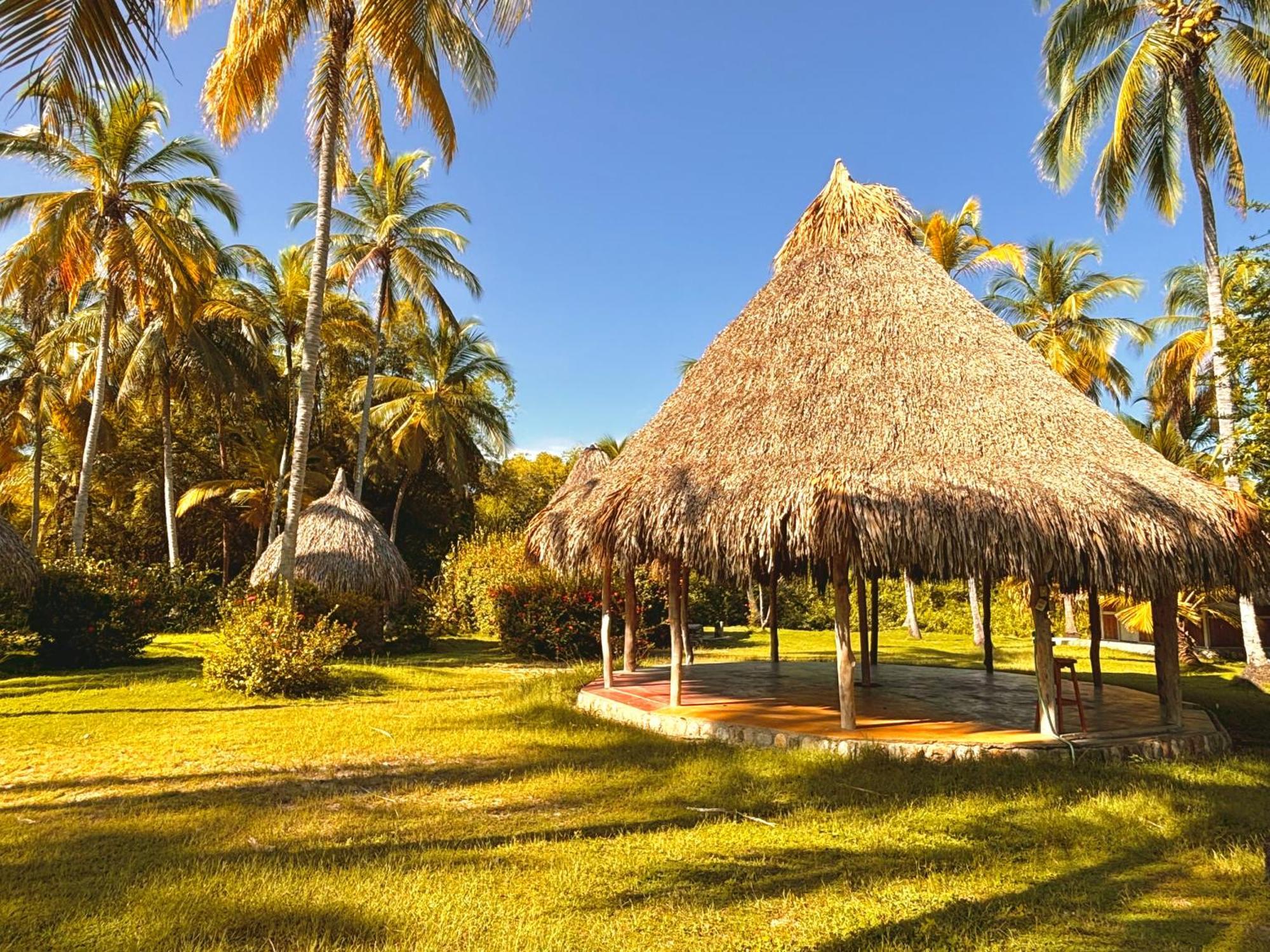 Playa Bonita Ecohotel Pet-Friendly Buritaca Bagian luar foto