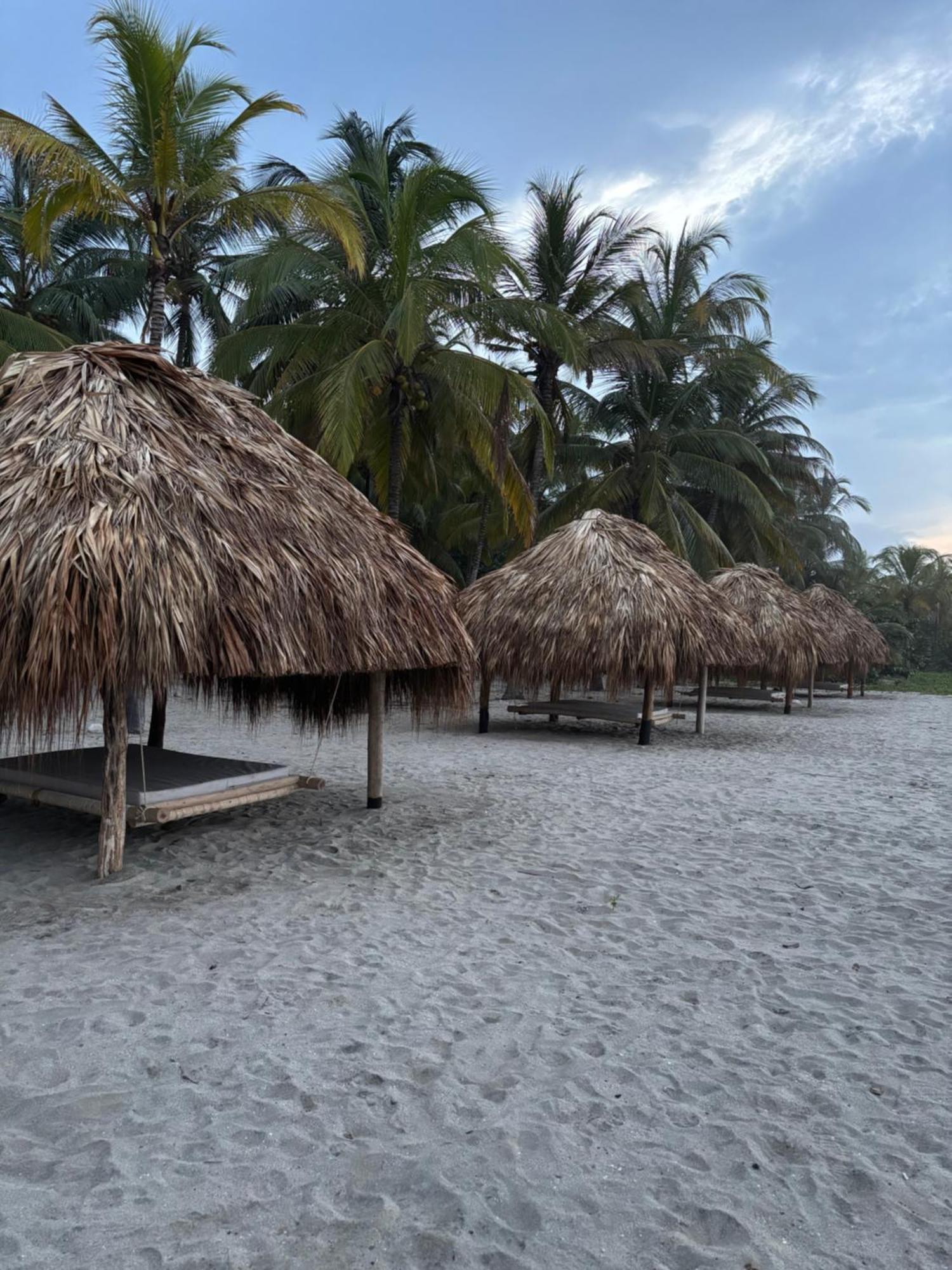 Playa Bonita Ecohotel Pet-Friendly Buritaca Bagian luar foto