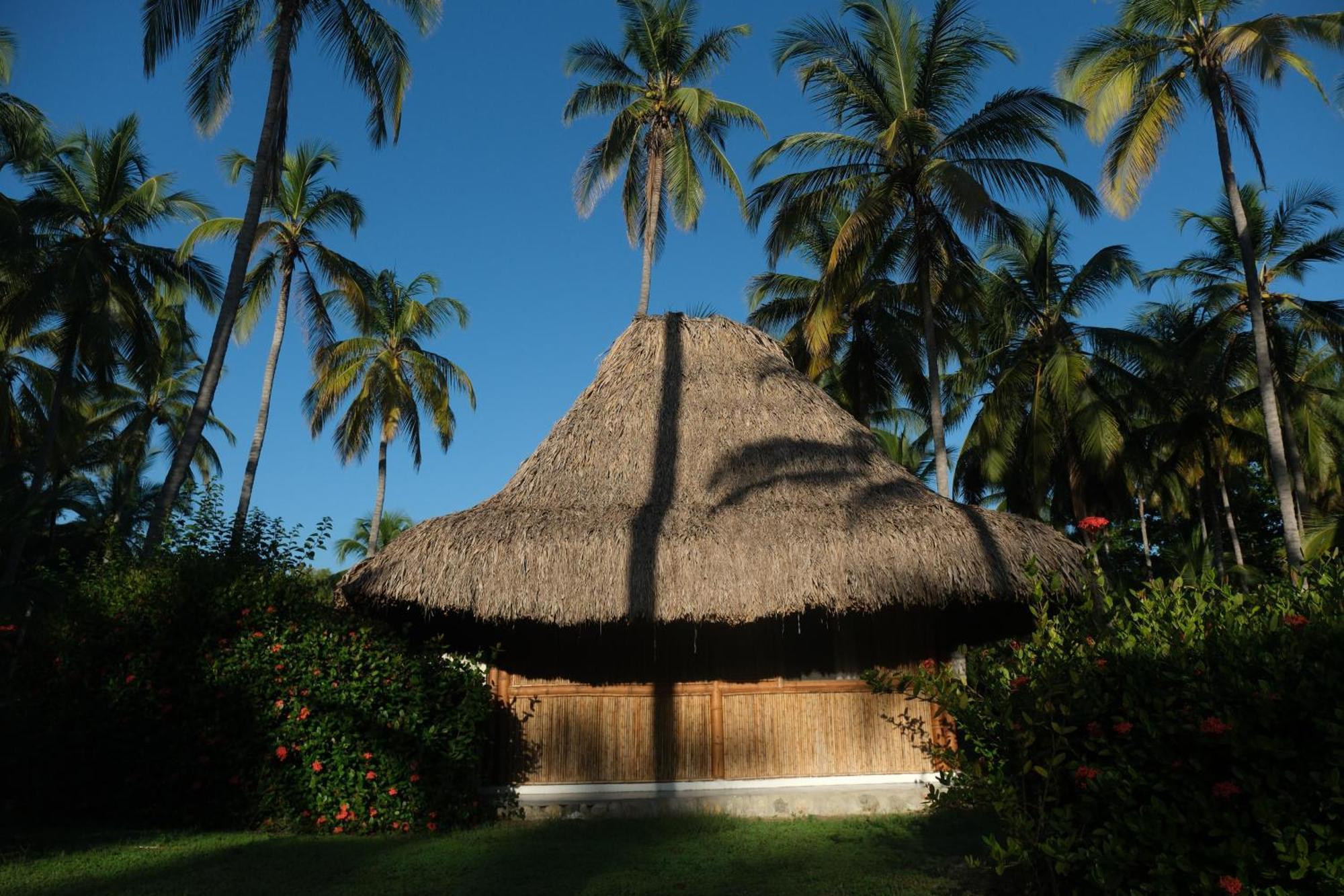 Playa Bonita Ecohotel Pet-Friendly Buritaca Bagian luar foto