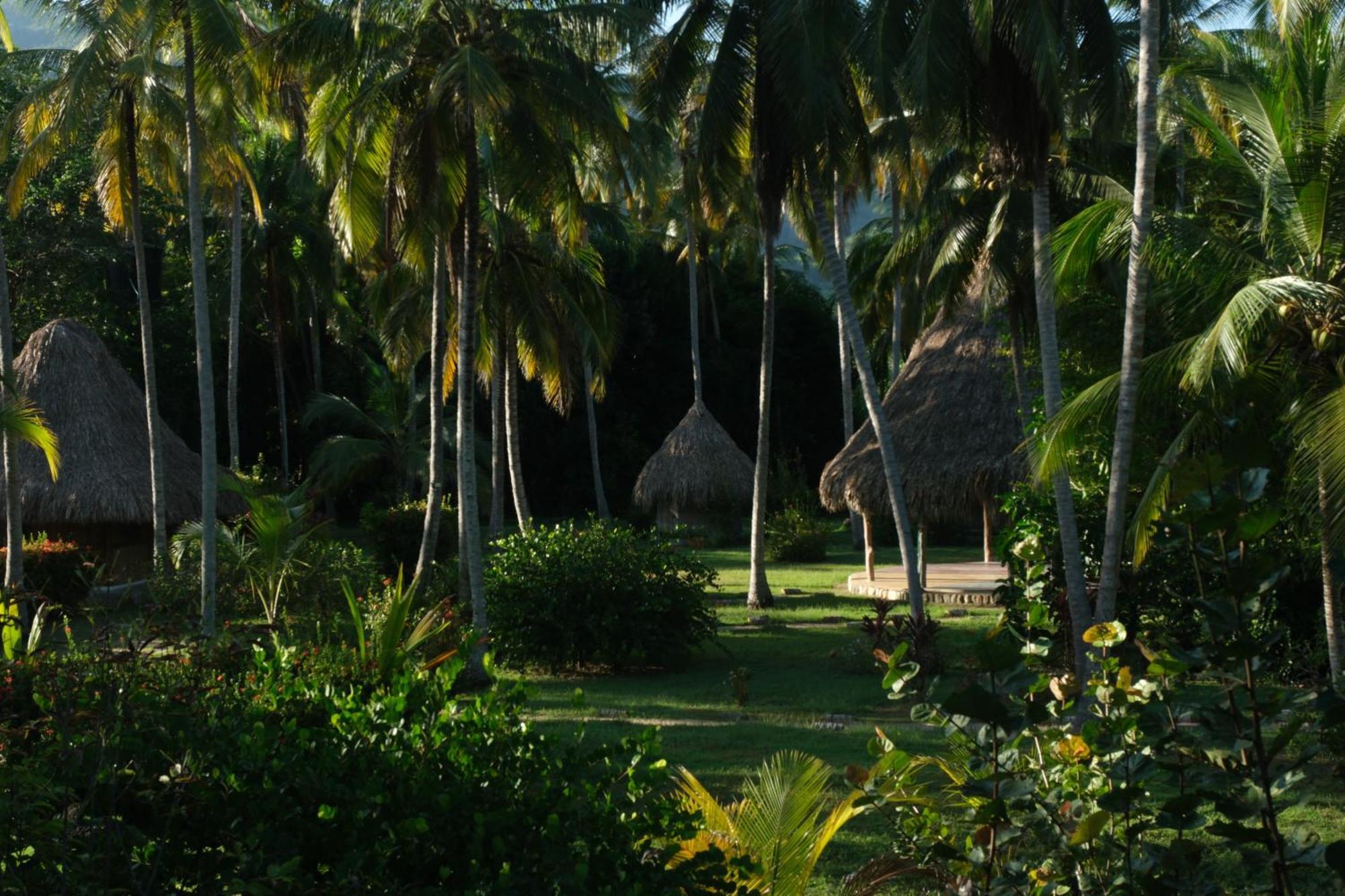 Playa Bonita Ecohotel Pet-Friendly Buritaca Bagian luar foto