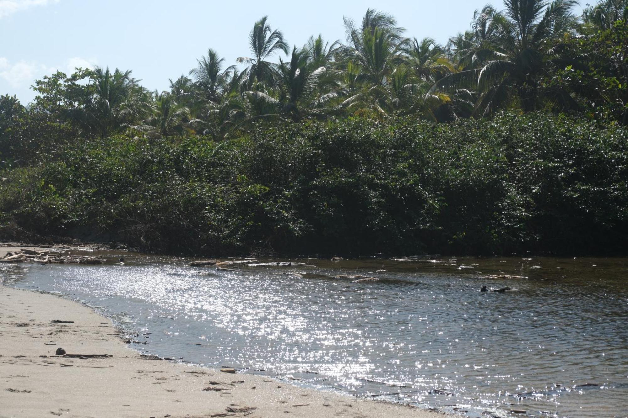Playa Bonita Ecohotel Pet-Friendly Buritaca Bagian luar foto