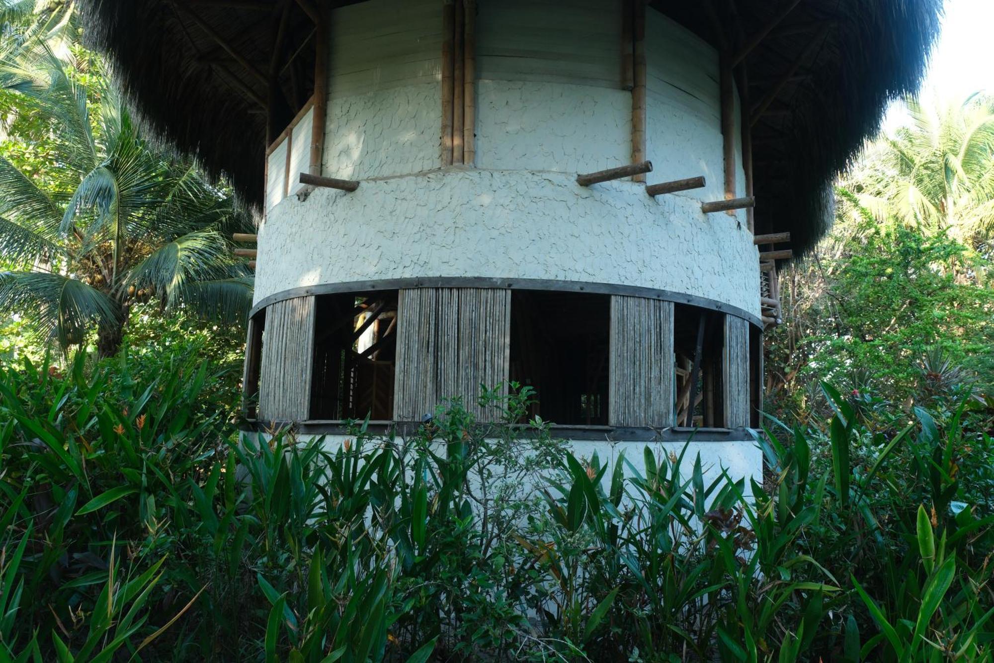 Playa Bonita Ecohotel Pet-Friendly Buritaca Bagian luar foto